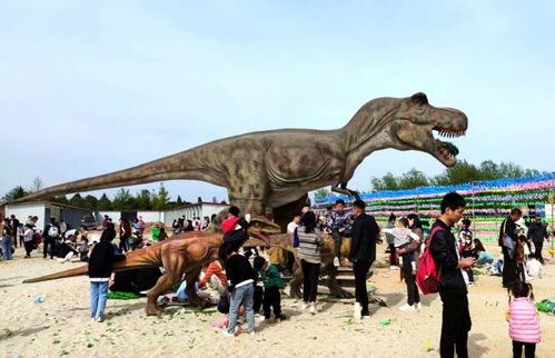 商丘古城旅游區再添新玩點 全新游樂園即將盛大開園，歡樂升級等你來探！